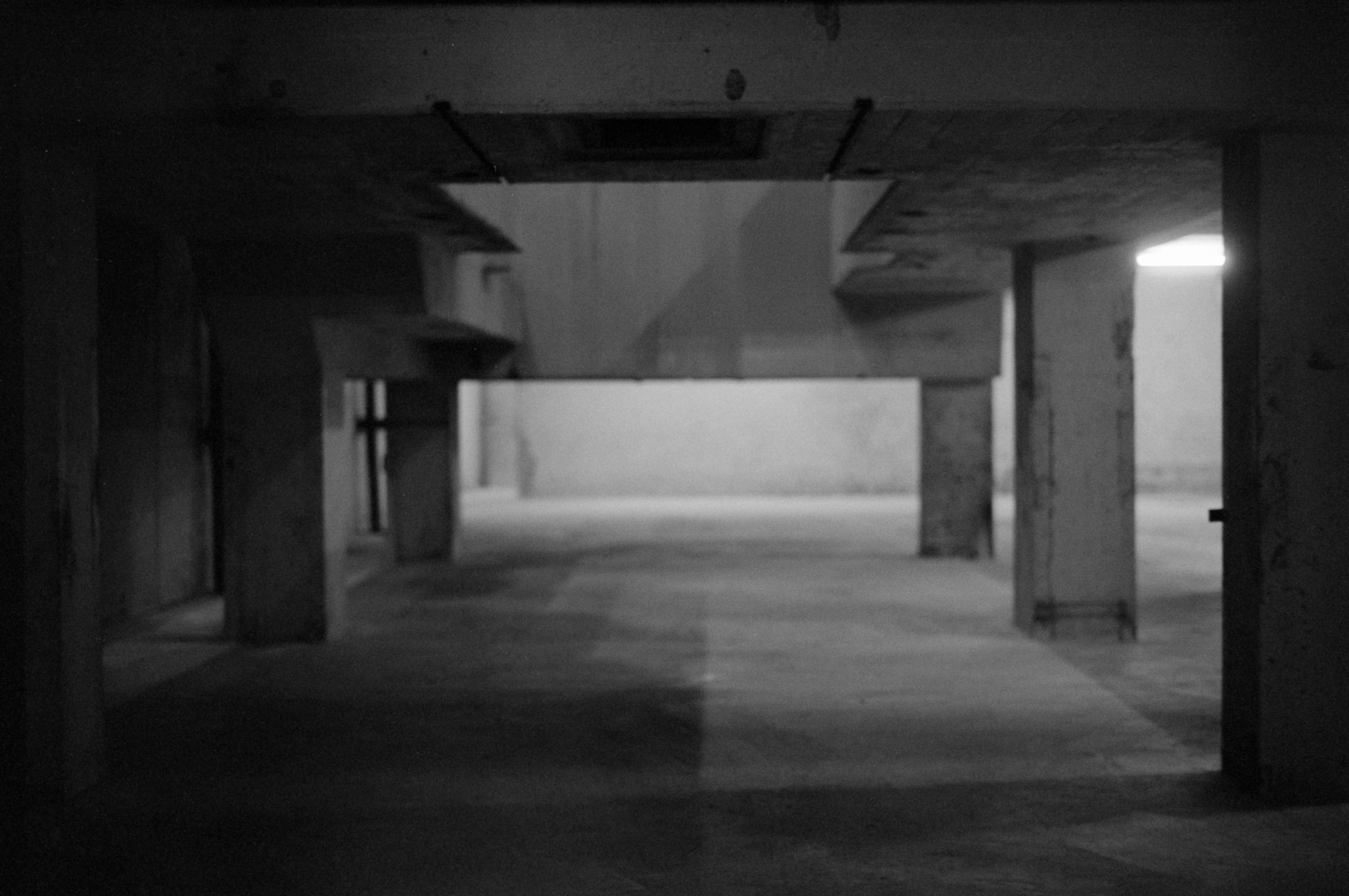 AHP F1994 11 008 sc250521 img26 NLP